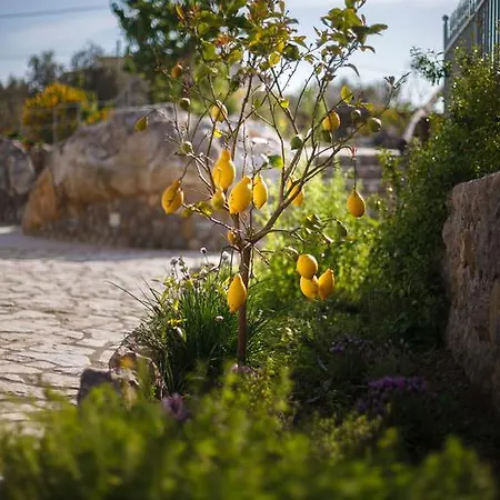 Casacolarusso 게스트하우스 마사루브렌세